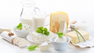 Украина в этом году нарастила экспорт молочки на $17,8 миллиона 