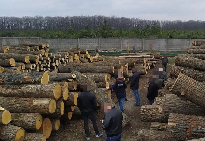 В Украине с начала года осудили более 40 человек за незаконную продажу лесных ресурсов - СБУ