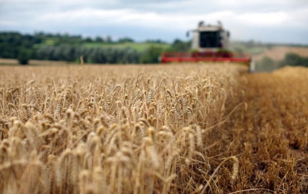Экспорт украинской агропродукции в ЕС вырос на 10% 