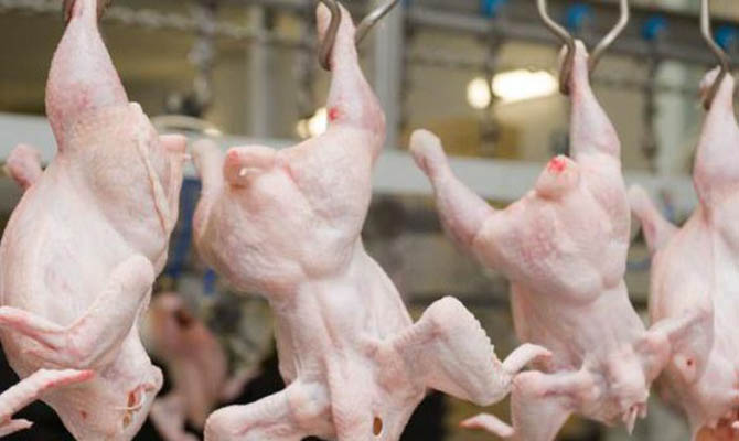 Европарламент расширил квоты для Украины на поставки курятины