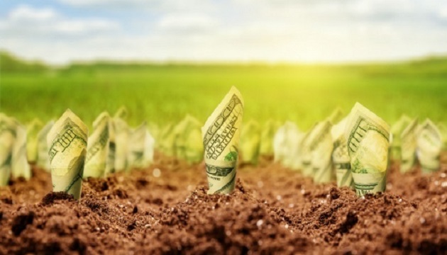 Инвестиции в агроисследования увеличивают добавочную стоимость в среднем в 32 раза, – профессор KSE