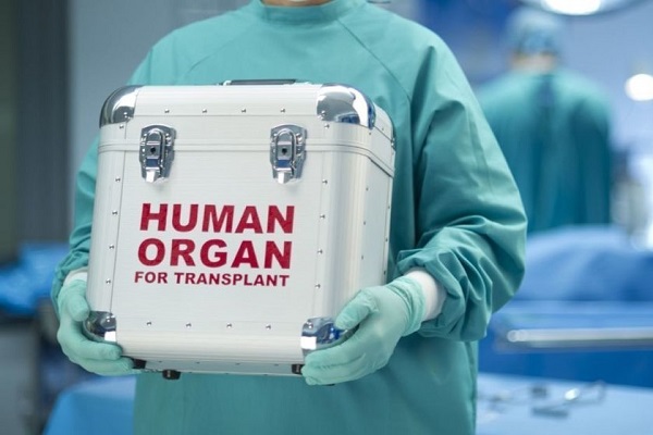 В Украине узаконили трансплантацию органов