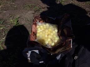 СБУ поймала на контрабанде янтаря активиста из Ирпеня (Фото)